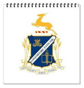 Picture for category St David's Marist, Inanda School 2026