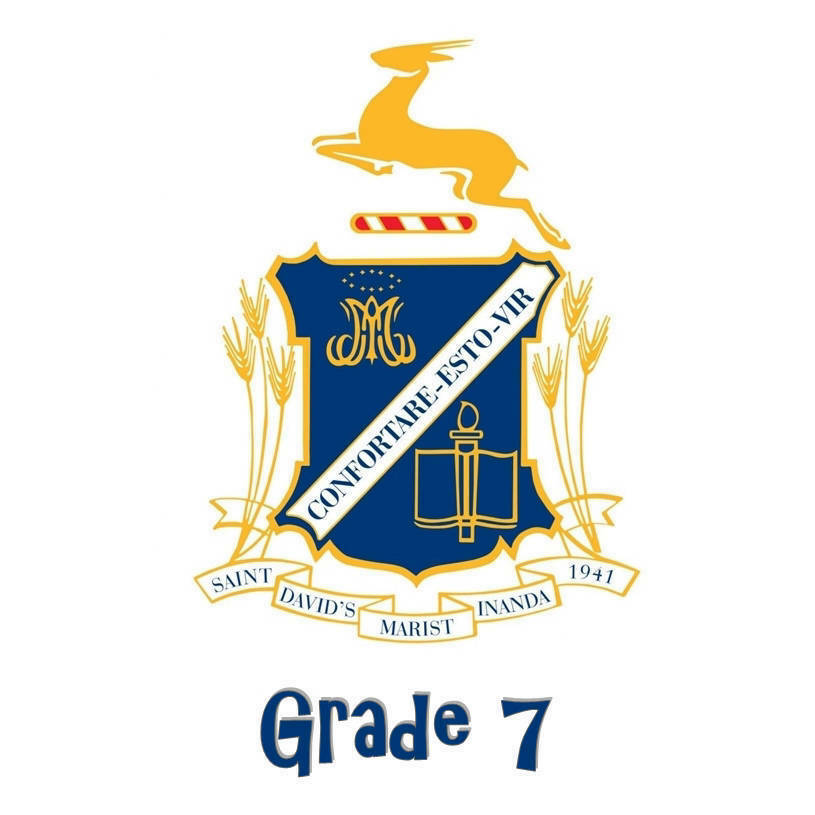 St David's Grade 7