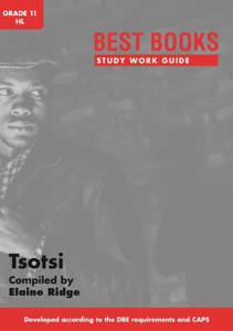 Picture of Bestbooks Studiewerkgids - Tsotsi Graad 11