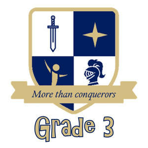 Picture of Knights Grade 3