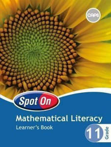 Picture of Spot On Mathematical Literacy Grade 11 Learner's Book