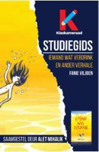 Picture of Studiegids  Iemand wat verdrink en ander verhale Lapa