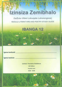 Picture of Izinsiza Zemibhalo Ibanga 12 *2026