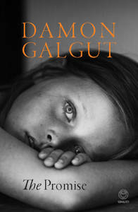 Picture of Promise, Damon Galgut